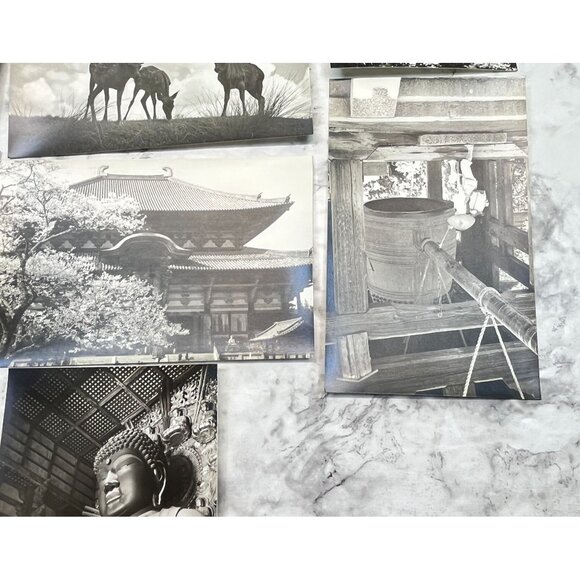 Nara-Park Japan RPPC Postcard Vintage Set of 9 Travel Souvenir Photos 1940s - Picture 9 of 16